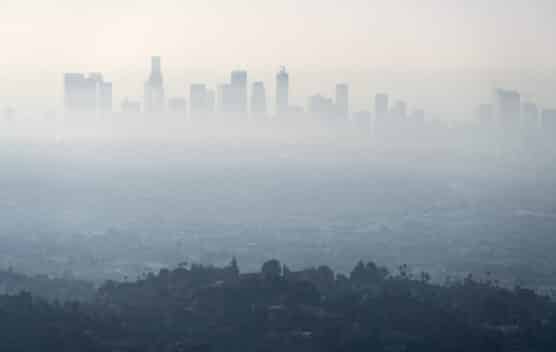 Air Pollution and Cognitive Decline: Does Exposure Increase Risk?